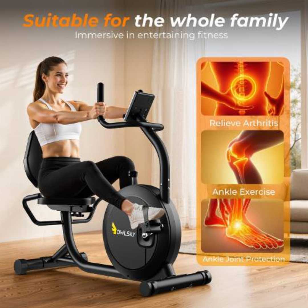 recumbent bike for seniors : OWLSKY Recumbent Exercise Bike ,recumbent bike for seniors USA, best stationary bike for bad knees and back, OWLSKY step through exercise bike, low impact indoor bike fo
